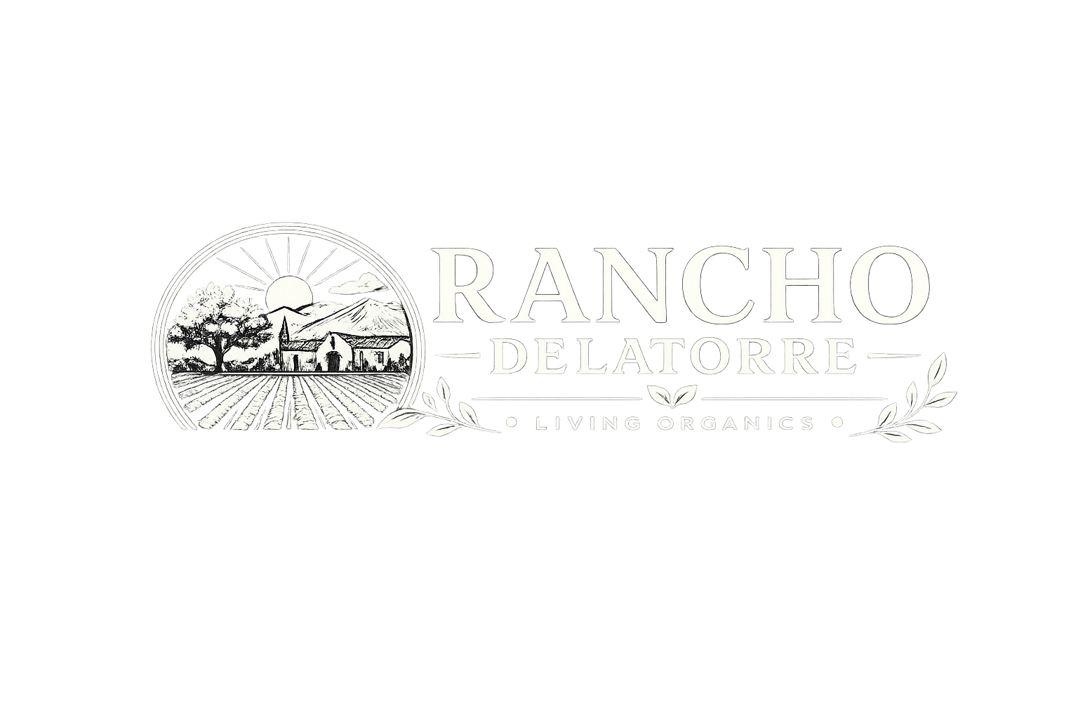 Rancho De La Torre Living